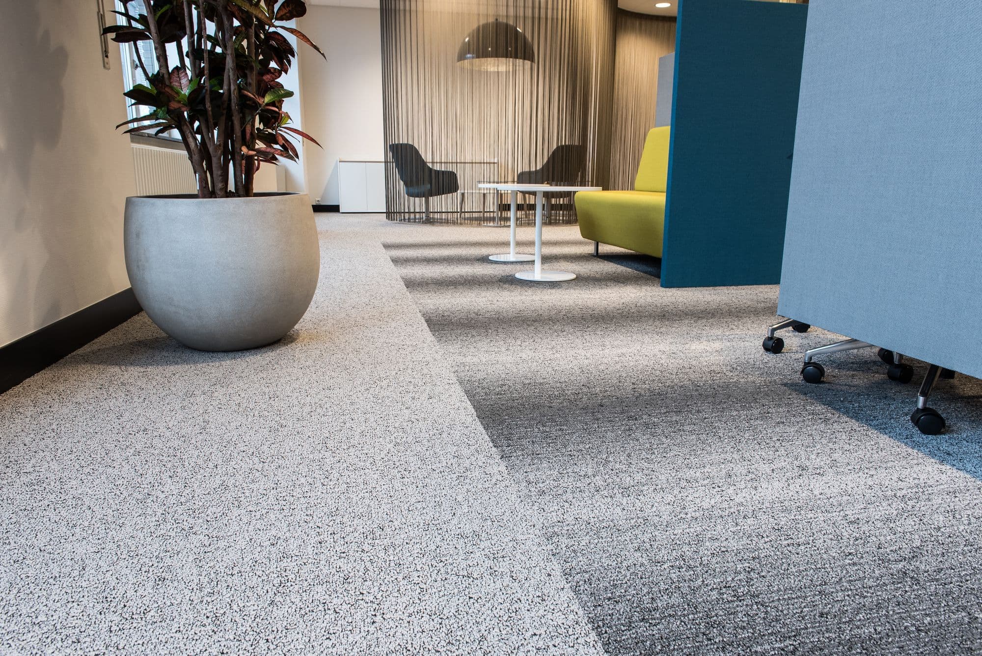 Carpet